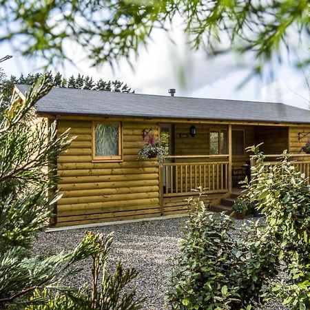 Fern Lodge - 2 Bedroom Log Cabin - Saint Florence - Tenby Bagian luar foto