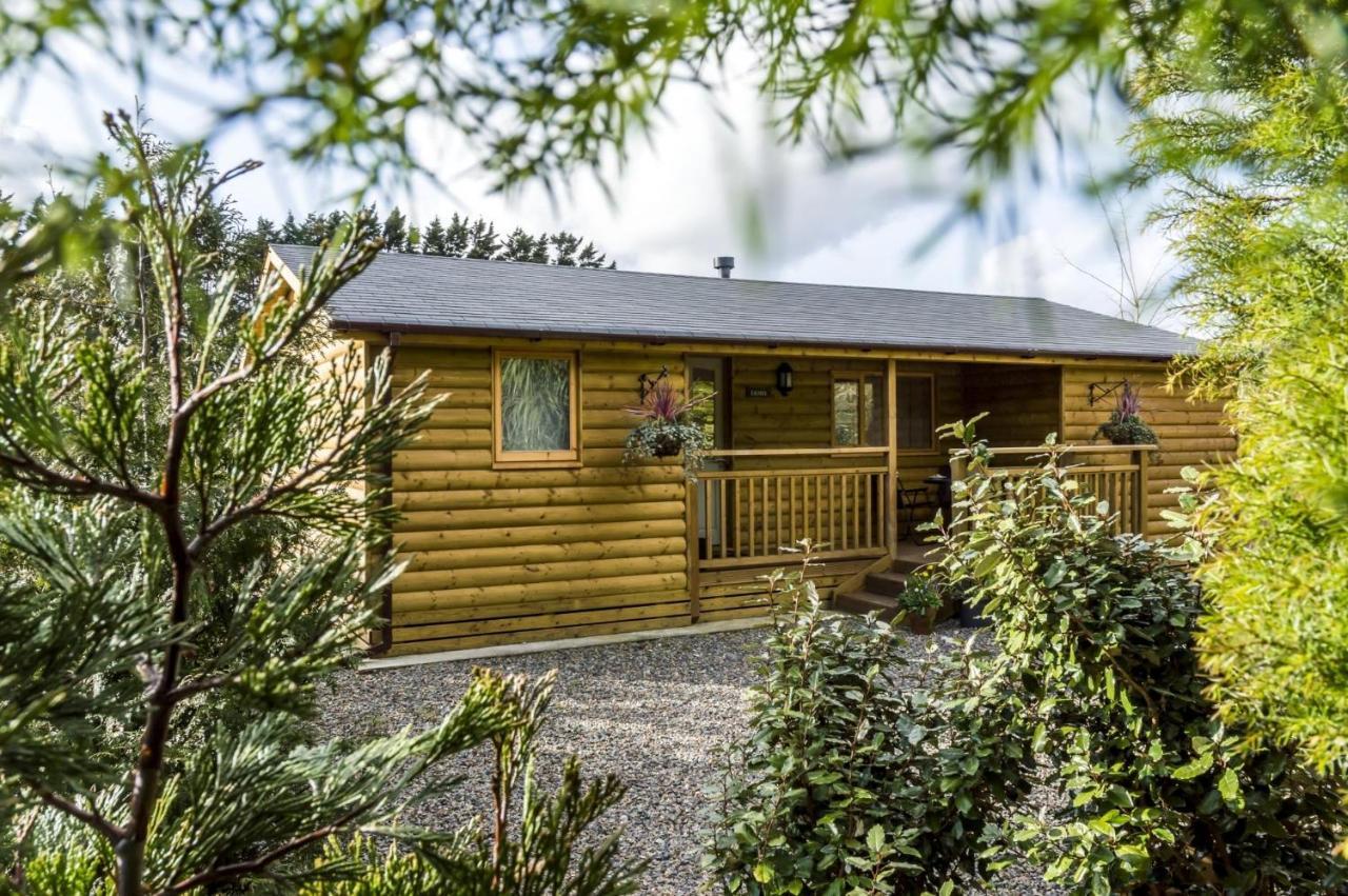 Fern Lodge - 2 Bedroom Log Cabin - Saint Florence - Tenby Bagian luar foto
