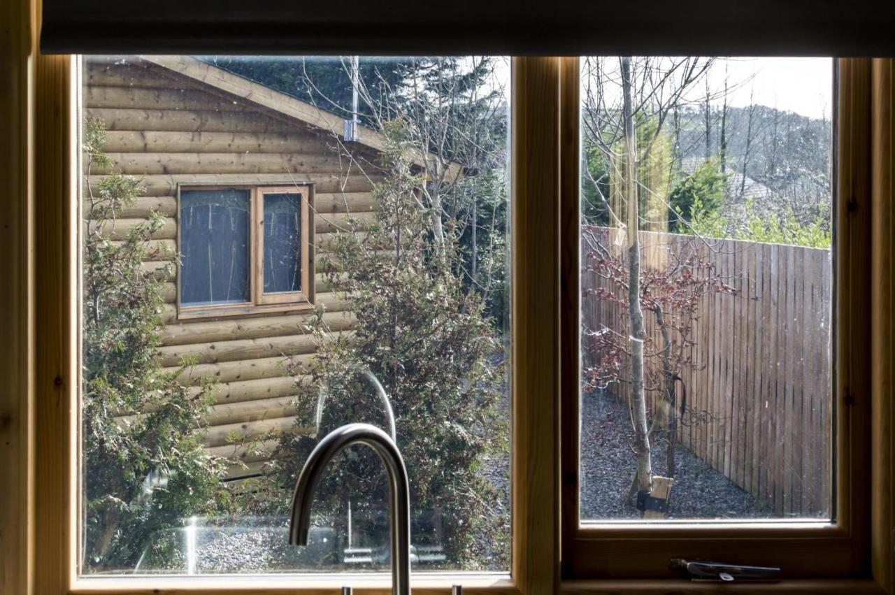 Fern Lodge - 2 Bedroom Log Cabin - Saint Florence - Tenby Bagian luar foto