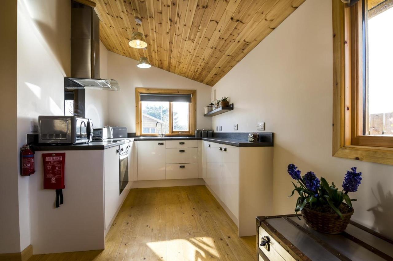 Fern Lodge - 2 Bedroom Log Cabin - Saint Florence - Tenby Bagian luar foto